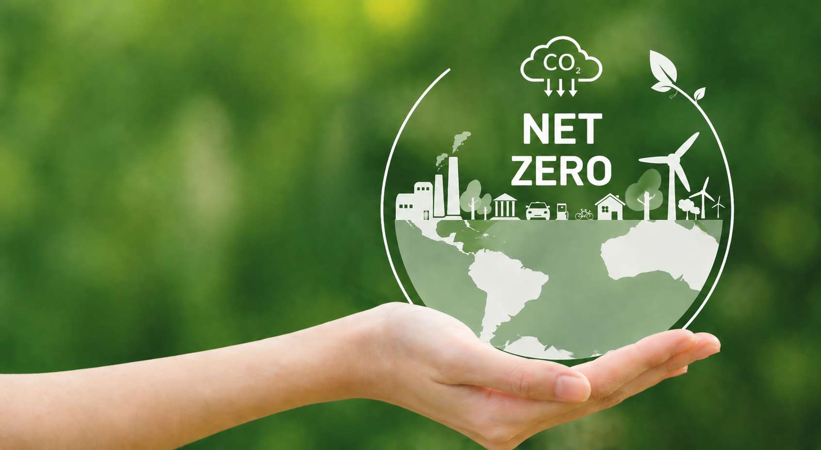 Net Zero may seem like a distant concept for many businesses, but in reality, it is already influencing business decisions at every level.