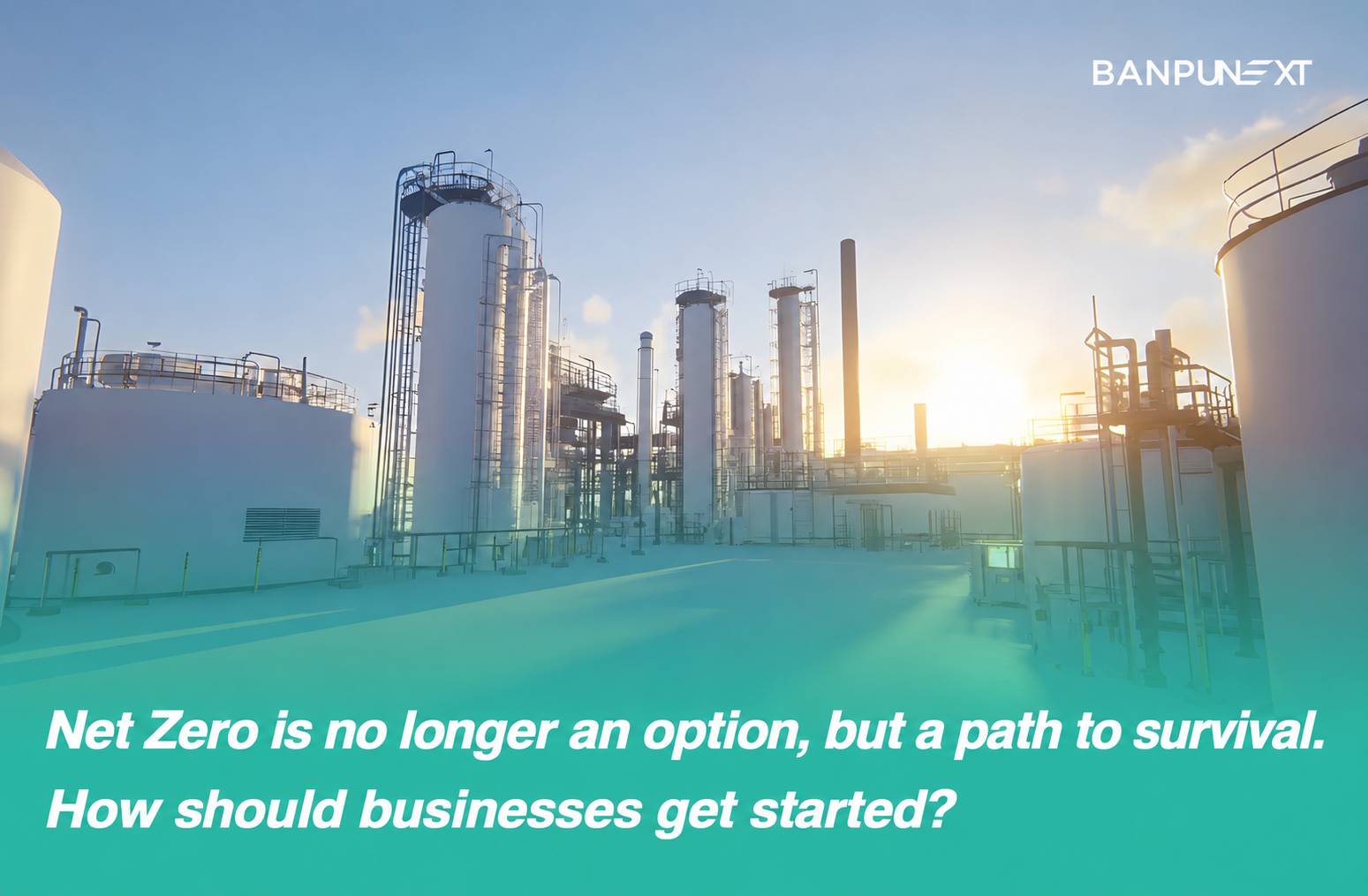How Should Businesses Start Their Net Zero Journey?